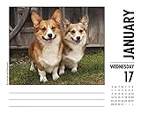 Image de Just Corgis 2018 Calendar