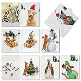 Funny Assortment of 10 Holiday Cards with Envelopes (4