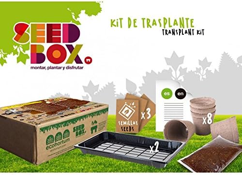 Kit de Trasplante Hortalizas: Berenjena, Tomate y Cebolla: Amazon ...