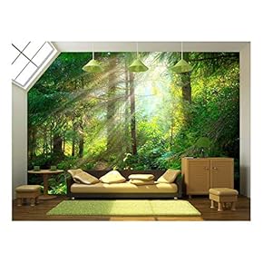 BRAND_NAMEBeautiful Forest Wallpaper Wall Mural Decor