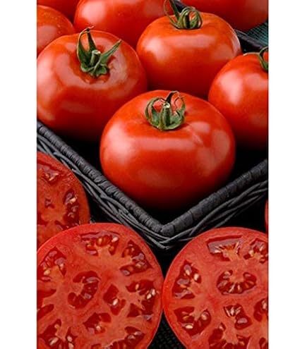 【tomato】 Amazon.com : Phoenix Hybrid Tomato Seeds - Bush Type Seldom Needs