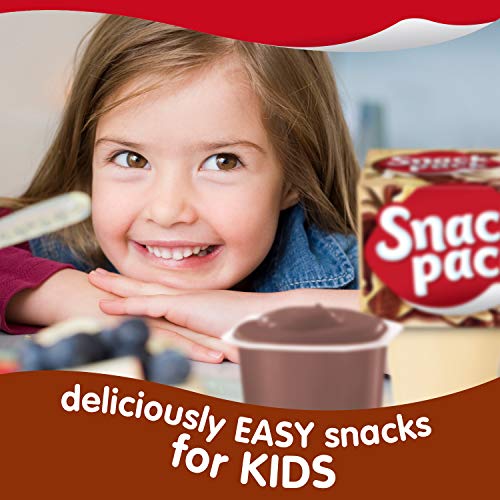 Snack-Pack-Chocolate-and-Vanilla-Pudding-Cups-Family-Pack-12-Count