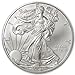 2008-1 Ounce American Silver Eagle Low Flat Rate Shipping .999 Fine Silver Dollar Uncirculated US Mint