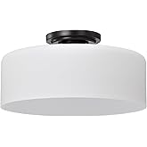 Nuvo Lighting 60/8035 Warren - 1 Light Semi-Flush Mount-6.5 Inches Tall and 13.13 Inches Wide