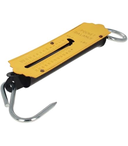 Amazon.com: Ohaus RC31P30 Ranger 3000 Count Bench Scale, 30 kg
