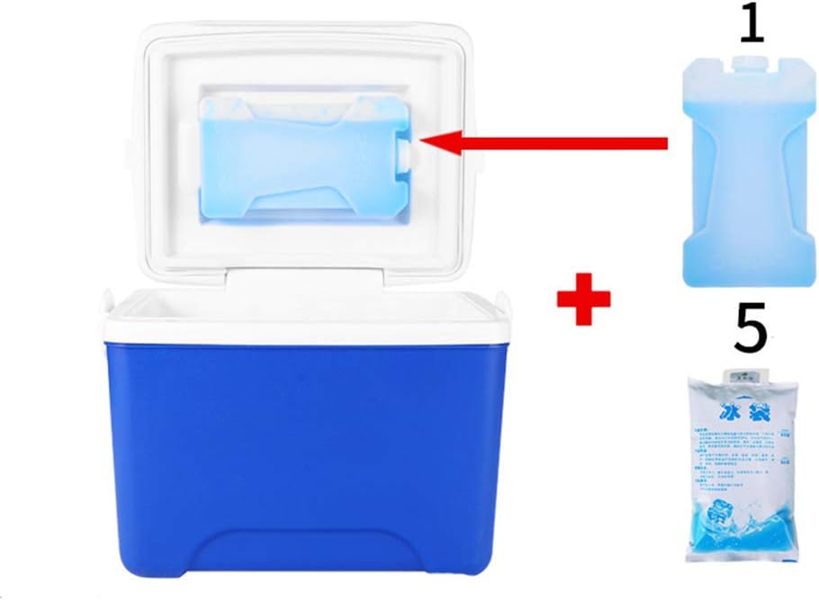 5L 6L Cooler Box Cold Icebox Mini Dual Use Car Refrigerator Home Preservation Portable Travel Camping BBQs Outdoor Activities