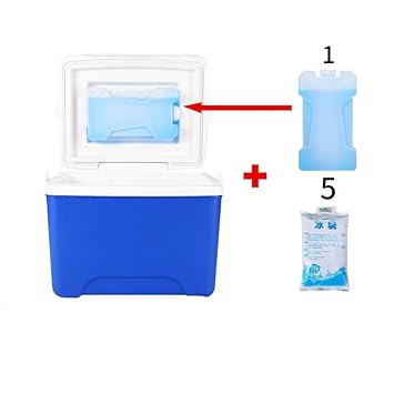 5L 6L Nevera Caja Caja de Hielo frío Mini Uso Doble Refrigerador ...