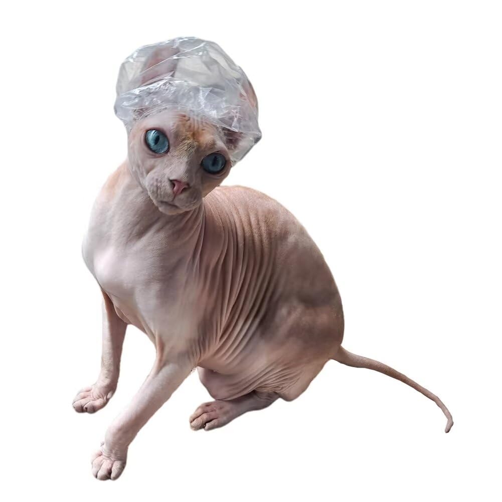 Sphynx Hairless Cat Shower Caps No Chin Elastic Kitten Cats & Small Dogs Small Pets 20pcs for Devon Rex Cat, Cornish Rex Cat Bambino Peterbald Cat and Elf