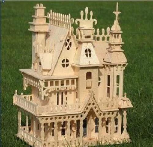 NWFashion Wooden Dream Dollhouse DIY Kits Miniature Doll House (Dream House)