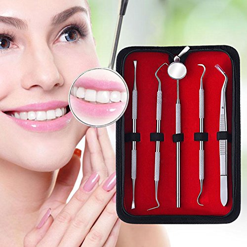 Dental Tools, Zeiger Stainless Steel Dental Hygienist Pick Tooth