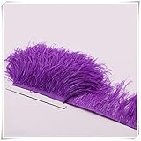 Hanlanbo 2 Yards Ostrich Feather Trim Craft Fringe with Satin Ribbon Tape for Dress Sewing Crafts Costumes Decoration (Reddish)