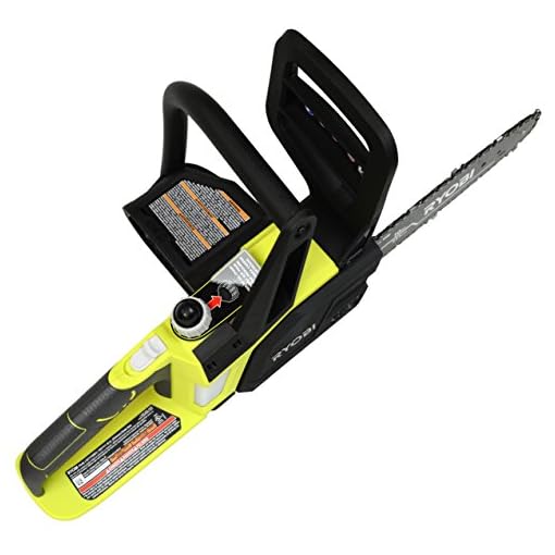 Ryobi 18V Chainsaw Bar Oil at Omar Hill blog