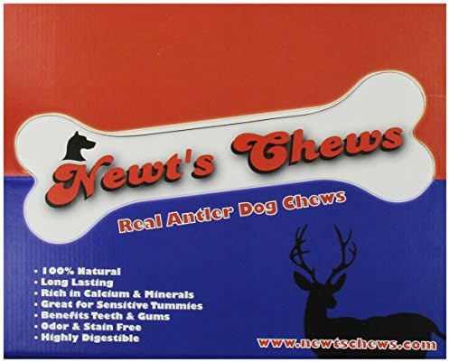 Newts Chews Antler, Medium in Display Box, 40-Piece