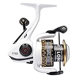 LONPAR Spinning Fishing Reel Double Worm Shafts 9+1 BB Lightweight Smooth Drag up To 33 Lbs/15 Kg Two Spools Included Selectable Anti-Reverse Right/Left Handle Fishing Reel for Saltwater or Freshwater
