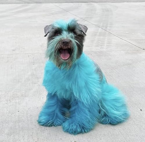 Crazy Liberty Dog Hair Dye in Kenya Whizz Hair Accessories