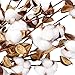 Ageomet 4pcs Cotton Stems 21