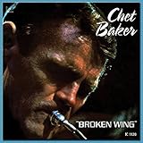 BROKEN WING                                        image