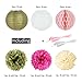 SUNBEAUTY Tissue Paper Pom Pom Flowers Paper Lanterns Wedding Birthday Party Decorations 12pcs