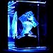 Tasmanian Devil 3D Laser Etched Crystal + Rotating Display Light Base with 7 Multi Color LED's