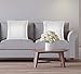 American Pillowcase Euro Shams 26x26 Set of 2 Pillow Covers - Luxury 100% Egyptian Cotton (2 Pack, European 26 x 26, White)