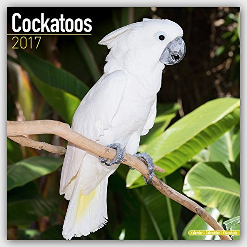 Cockatoos Calendar - 2017 Wall calendars - Parrot Calendars - Bird Calendars - Calendars 2016 - 2017 Wall Calendars - Monthly Wall Calendar by Avonside