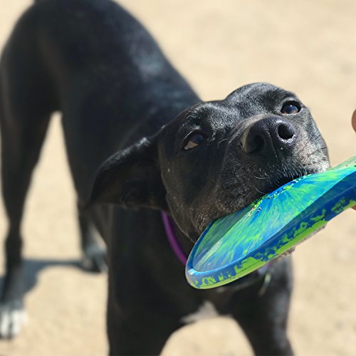 Ruff Dawg K9 Flyer Rubber Dog Toy Large Assorted Colors