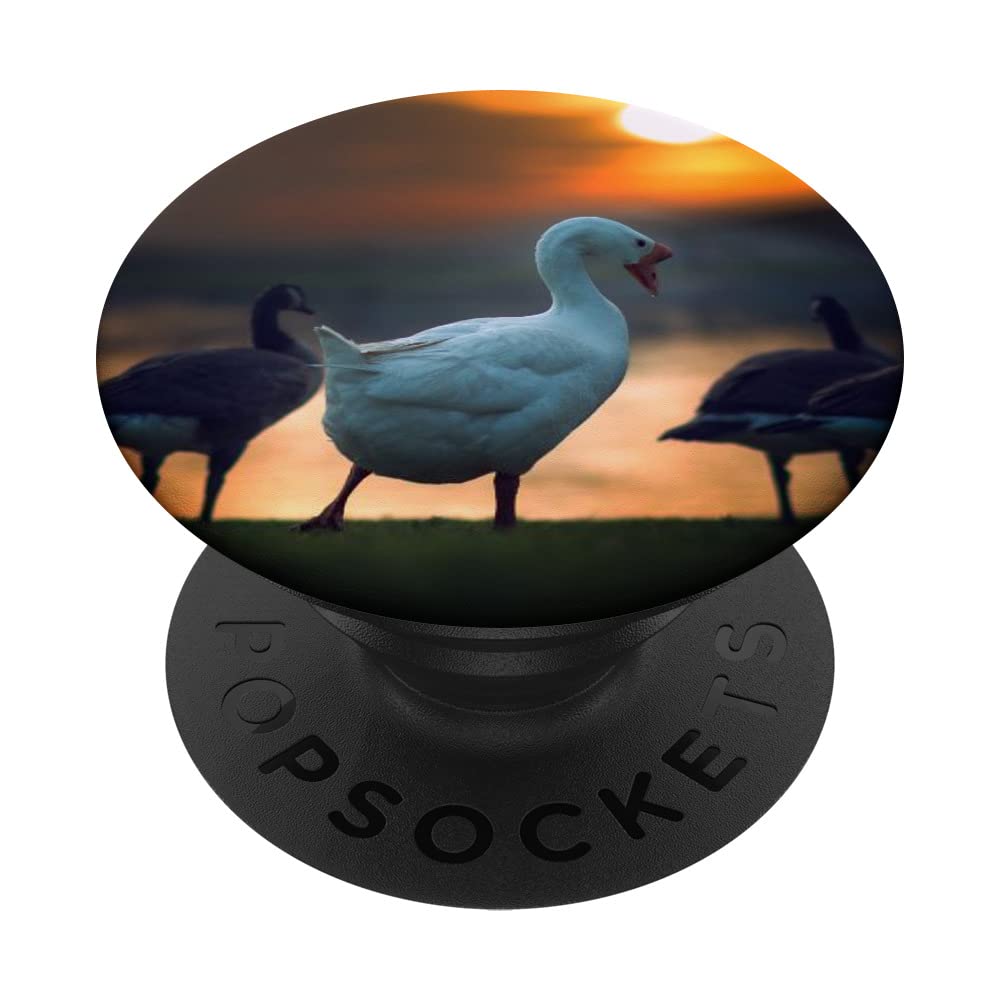 Goose PopSockets Swappable PopGrip
