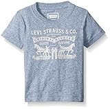 Levi's Big Boys' Levis Graphic Cotton Tee