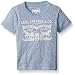 Levi's Big Boys' Levis Graphic Cotton Tee