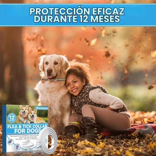 Collar antipulgas para Perros, Impermeable antipulgas y parásitos, 12 Meses de protección 65 cm (Azul-1p) (Azul-2p)