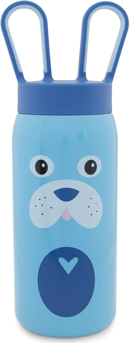 aladdin stainless steel water bottle