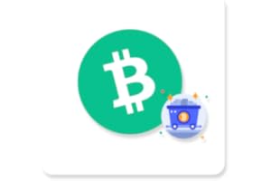 Bitcoin Cash farm (miner)