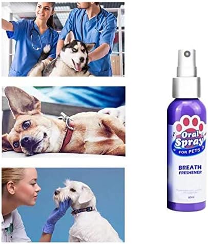 Bad- & Frottierwaren Badaccessoires 2PCS Geruchsentfernung Haustier