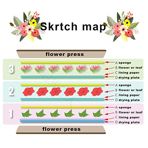 Worown Mini Flower Press Kit, Leaf Press, Plant Press, 6 x 6 inch 4