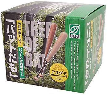 バットの木栽培セット アオダモ栽培 出色 バットだも
