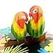 Liif Love Birds 3D Pop Up Anniversary Card for Wife, Husband, Couple, Valentines Day Card