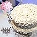 BakeLux Cake Decorating Tips Set - 56 Piece Professional Kit With Reusable Cotton Pastry Bag For Icing Piping, 2 Flower Nails, Coupler, Storage Box, Duyas Reposteria, Baking Tools Supplies