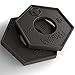 Iron Bull Strength Olympic Fractional Plates 1.25 lb (Pair) - Set of 2 x 1.25 Pound Weight Plates, for Olympic Bars - Micro Loading 2.5 Pound