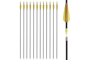 Youth Arrows Archery Recurve Bow Target Arrows Practice Fiberglass 26 28 30 Inch for Kids Beginners Outdoor