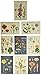 Cavallini & Co. Wildflowers Vintage Postcard Set