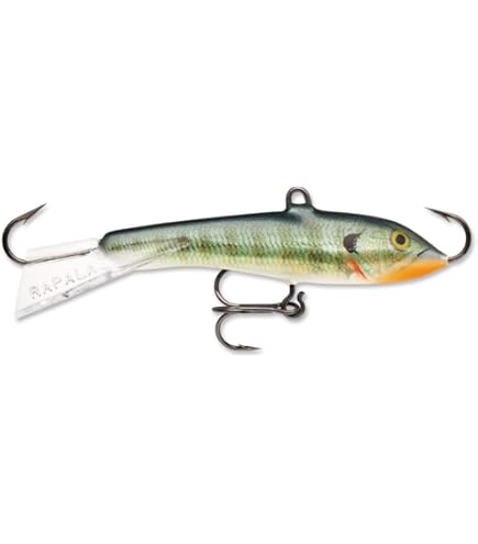 Amazon.com : Rapala Jigging Rap 09 Helsinki Shad : Sports