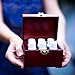 Organic Aromas Favorites Sampler Wooden Box of Six 100% Pure Essential Oils for Aromatherapy - Therapeutic Grade - for Use Diffusers