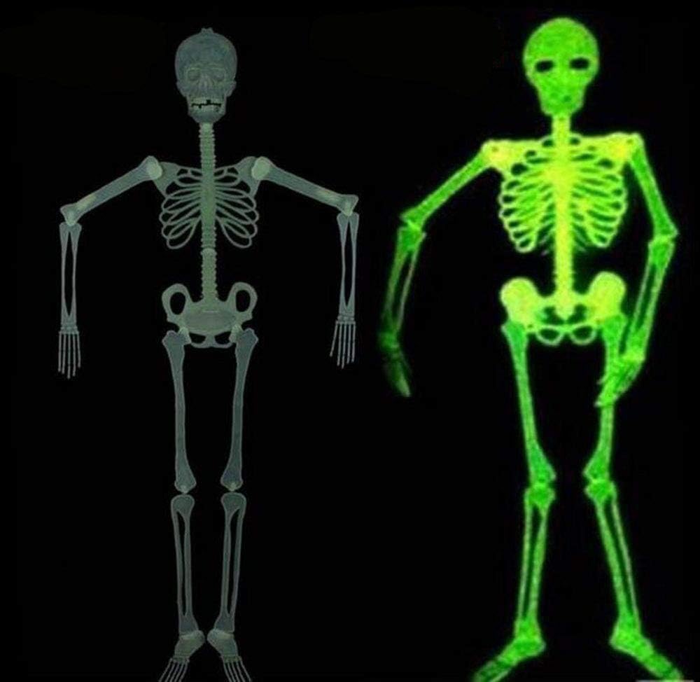Halloween 5 Ft Skeleton Luminous Glow 