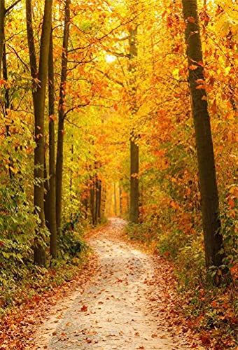 AOFOTO Fall Forest Path Photography Backdrop
