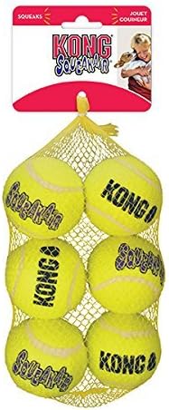 kong squeaker ball medium