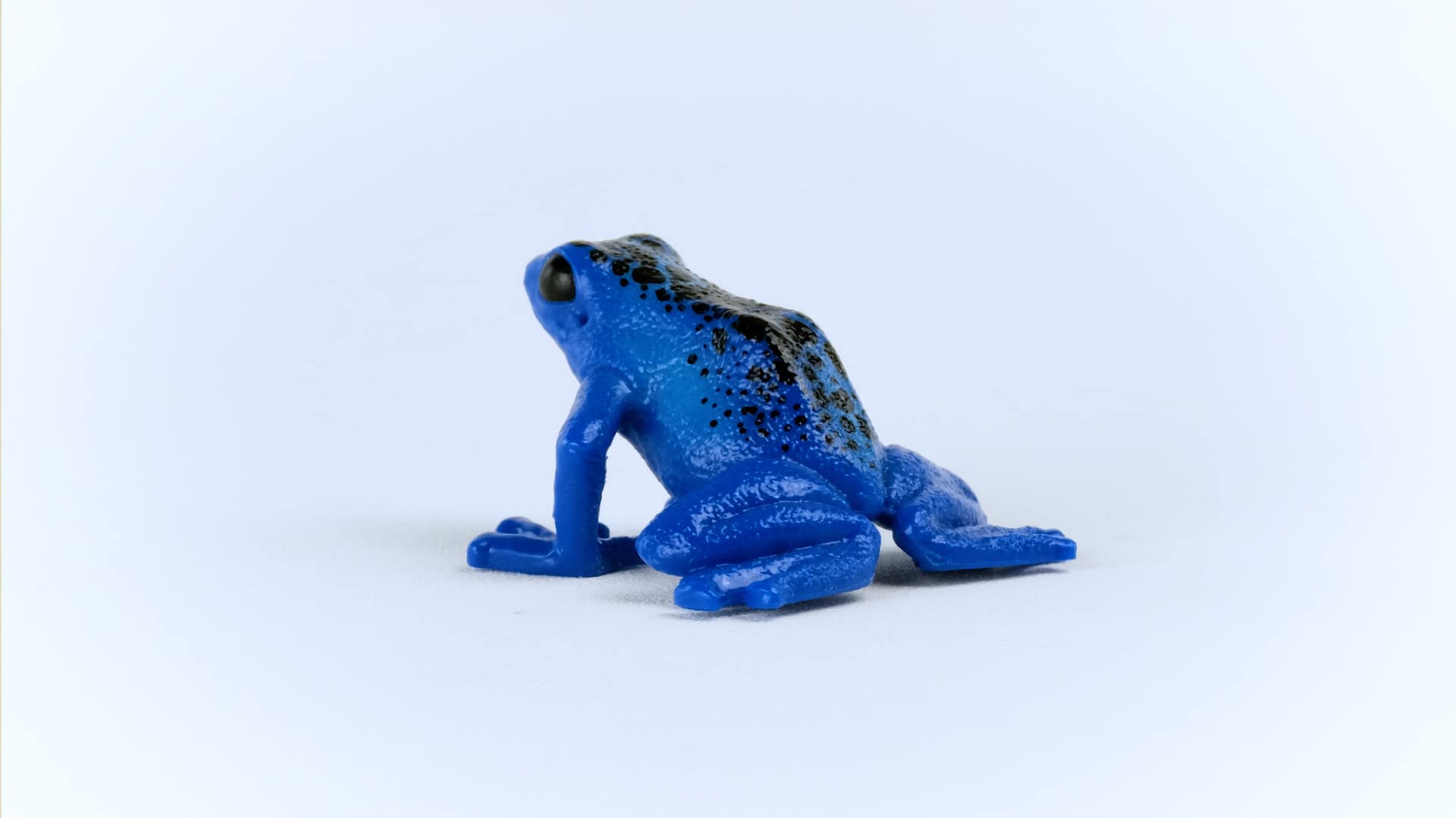 SCHLEICH WILD Life | Blauer Pfeilgiftfrosch 14864 | detailgetreue Tierfiguren | Zoo Spielzeug | tolles Geschenk für Jungen und Mädchen | Deko für Geburtstag | Spielfigur ab 3 Jahren | 5 x 5 x 3 cm 5