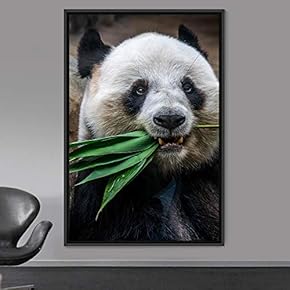 signwin Framed Canvas Wall Art Panda Animals Bear...