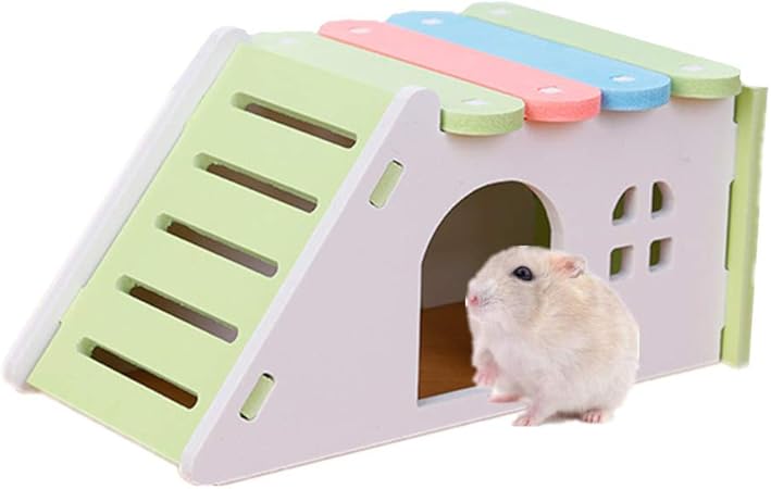 hamster accessories amazon