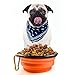 2-Pack Collapsible Travel Dog Bowl,MAXIN Silicone Cat Bowl Portable Pet Food Water Bowl, Foldable Expandable Cup Dish for Pets, FDA Approved.[ Black and Orange ]