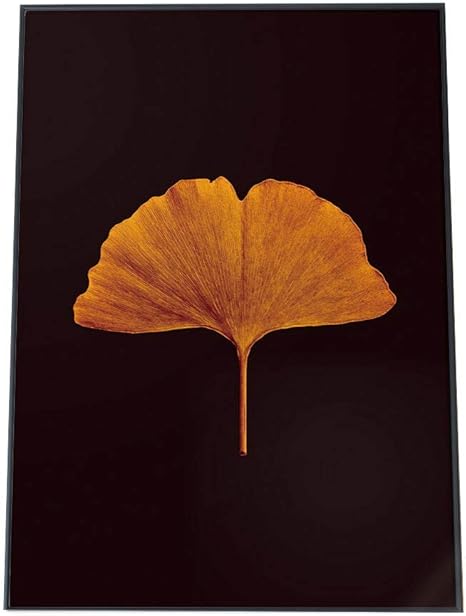 Amazon Co Jp Fashion Poster ファッションポスター 約42cm 59cm ポスター マット ポスターのみ 観葉植物 一輪 イチョウ 銀杏 春 秋 赤 クリスマス 低木 Fg Poster 558 a2matt ホーム キッチン